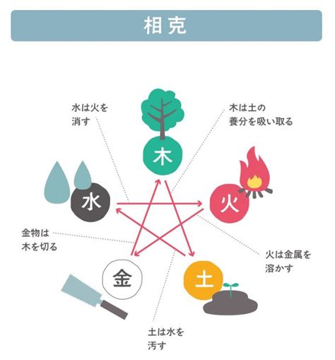 木剋土性格|【木剋土 意味】木剋土的深層含義：揭開五行相剋的奧秘